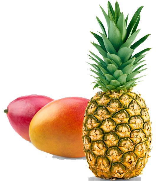Fruity - Parfums De France