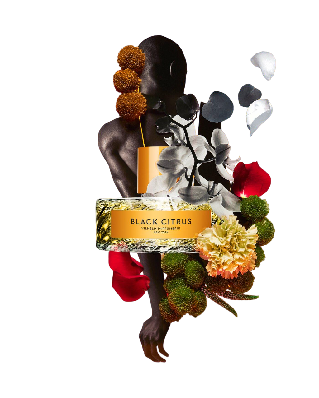 BLACK CITRUS | high end perfume brands | perfumedefrance BLACK CITRUS | high end perfume brands | perfumedefrance