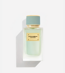 Dolce & Gabbana Velvet Infusion