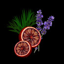 Timeless 150 Anniversary