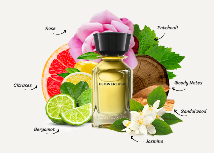 Oman Luxury Flowerlush Parfume