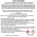 Fragonard Mon Gingembre Room Diffuser & 6 sticks - Parfums De France 