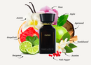 Oman Luxury Zafar Parfume