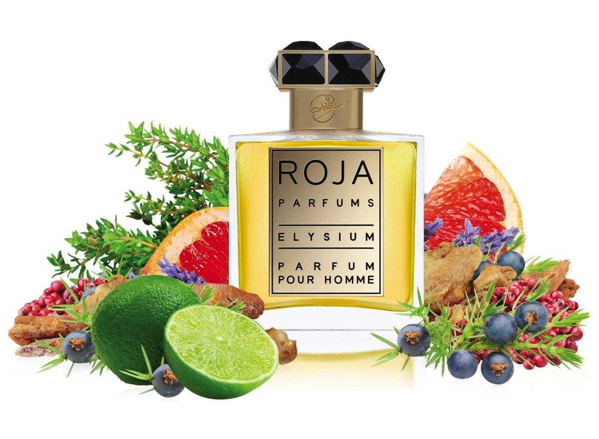 Roja Elysium Parfum Pour Homme Perfume